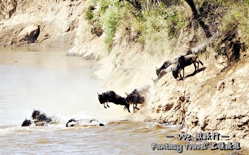 曠野感動~東非肯亞8日